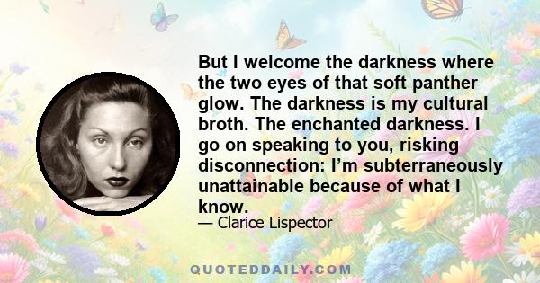 But I welcome the darkness where the two eyes of that soft panther glow. The darkness is my cultural broth. The enchanted darkness. I go on speaking to you, risking disconnection: I’m subterraneously unattainable