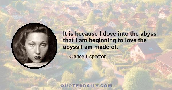 It is because I dove into the abyss that I am beginning to love the abyss I am made of.