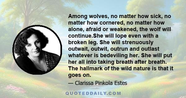 Among wolves, no matter how sick, no matter how cornered, no matter how alone, afraid or weakened, the wolf will continue.She will lope even with a broken leg. She will strenuously outwait, outwit, outrun and outlast