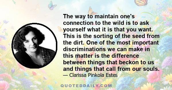 The way to maintain one's connection to the wild is to ask yourself what it is that you want. This is the sorting of the seed from the dirt. One of the most important discriminations we can make in this matter is the