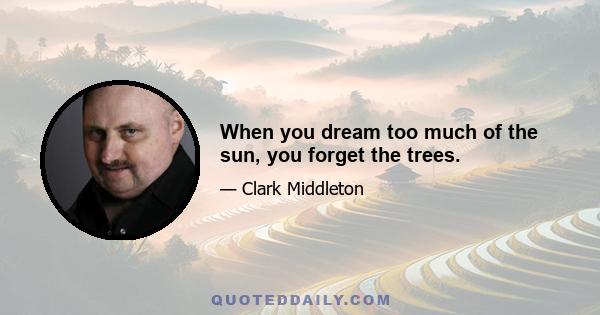 When you dream too much of the sun, you forget the trees.