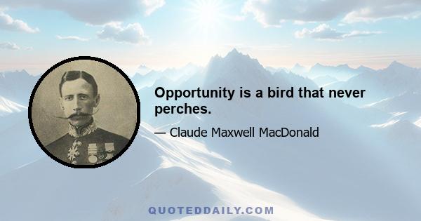 Opportunity is a bird that never perches.