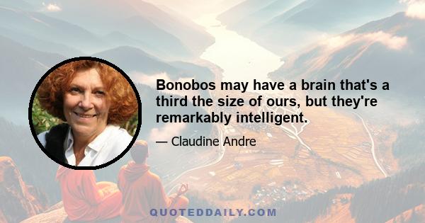 Bonobos may have a brain that's a third the size of ours, but they're remarkably intelligent.