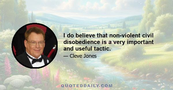 I do believe that non-violent civil disobedience is a very important and useful tactic.