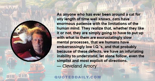 As anyone who has ever been around a cat for any length of time well knows, cats have enormous patience with the limitations of the human mind. They realize that, whether they like it or not, they are simply going to