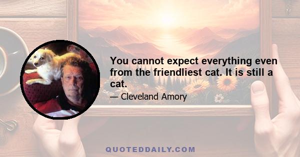 You cannot expect everything even from the friendliest cat. It is still a cat.