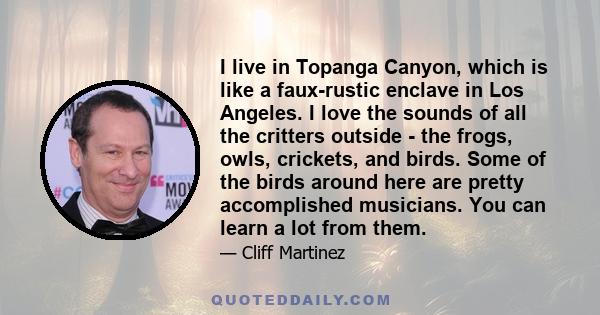 I live in Topanga Canyon, which is like a faux-rustic enclave in Los Angeles. I love the sounds of all the critters outside - the frogs, owls, crickets, and birds. Some of the birds around here are pretty accomplished