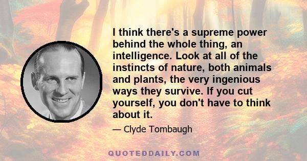 I think there's a supreme power behind the whole thing, an intelligence. Look at all of the instincts of nature, both animals and plants, the very ingenious ways they survive. If you cut yourself, you don't have to