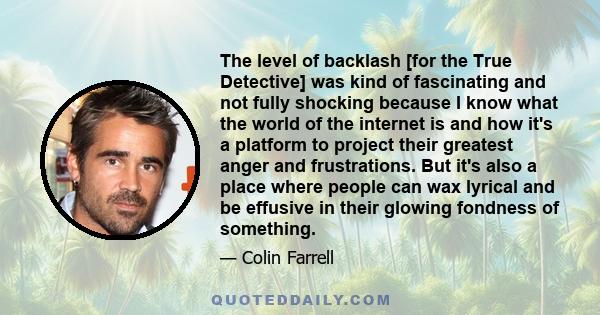 The level of backlash [for the True Detective] was kind of fascinating and not fully shocking because I know what the world of the internet is and how it's a platform to project their greatest anger and frustrations.