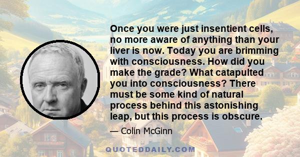 Once you were just insentient cells, no more aware of anything than your liver is now. Today you are brimming with consciousness. How did you make the grade? What catapulted you into consciousness? There must be some