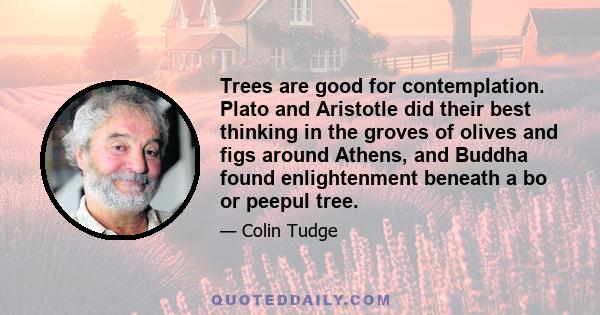 Trees are good for contemplation. Plato and Aristotle did their best thinking in the groves of olives and figs around Athens, and Buddha found enlightenment beneath a bo or peepul tree.