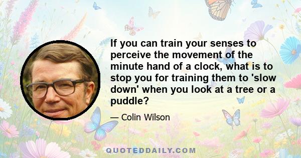 If you can train your senses to perceive the movement of the minute hand of a clock, what is to stop you for training them to 'slow down' when you look at a tree or a puddle?