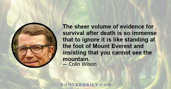 The sheer volume of evidence for survival after death is so immense that to ignore it is like standing at the foot of Mount Everest and insisting that you cannot see the mountain.