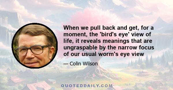 When we pull back and get, for a moment, the 'bird's eye' view of life, it reveals meanings that are ungraspable by the narrow focus of our usual worm's eye view