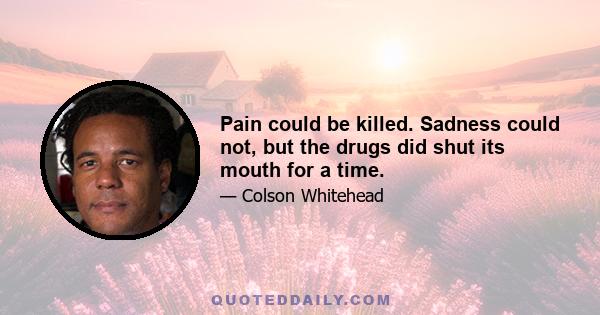 Pain could be killed. Sadness could not, but the drugs did shut its mouth for a time.