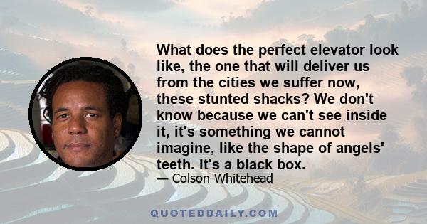 What does the perfect elevator look like, the one that will deliver us from the cities we suffer now, these stunted shacks? We don't know because we can't see inside it, it's something we cannot imagine, like the shape