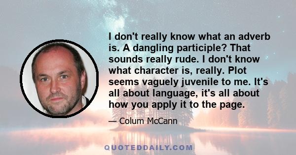 I don't really know what an adverb is. A dangling participle? That sounds really rude. I don't know what character is, really. Plot seems vaguely juvenile to me. It's all about language, it's all about how you apply it