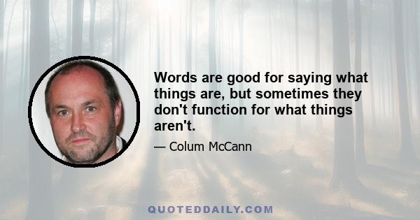 Words are good for saying what things are, but sometimes they don't function for what things aren't.