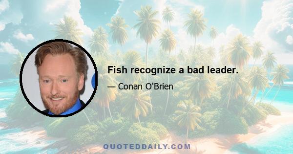 Fish recognize a bad leader.