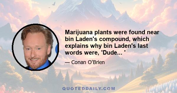 Marijuana plants were found near bin Laden's compound, which explains why bin Laden's last words were, 'Dude... '