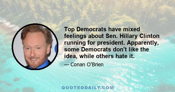 Top Democrats have mixed feelings about Sen. Hillary Clinton running for president. Apparently, some Democrats don't like the idea, while others hate it.