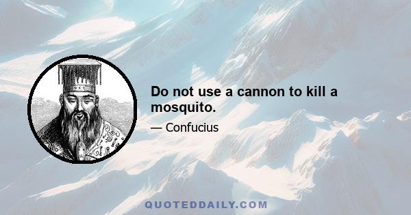 Do not use a cannon to kill a mosquito.