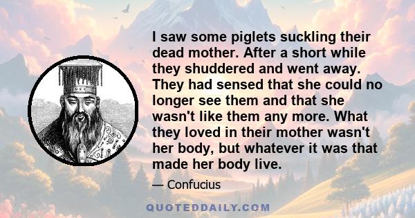 I saw some piglets suckling their dead mother. After a short while they shuddered and went away. They had sensed that she could no longer see them and that she wasn't like them any more. What they loved in their mother