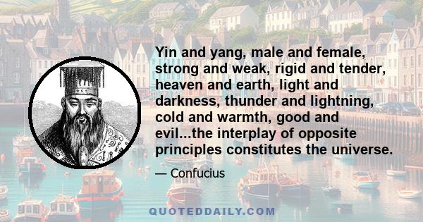 Yin and yang, male and female, strong and weak, rigid and tender, heaven and earth, light and darkness, thunder and lightning, cold and warmth, good and evil...the interplay of opposite principles constitutes the