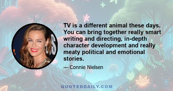 TV is a different animal these days. You can bring together really smart writing and directing, in-depth character development and really meaty political and emotional stories.