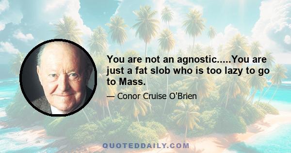 You are not an agnostic.....You are just a fat slob who is too lazy to go to Mass.