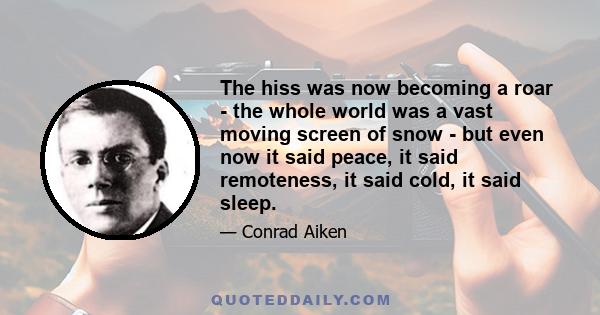 The hiss was now becoming a roar - the whole world was a vast moving screen of snow - but even now it said peace, it said remoteness, it said cold, it said sleep.