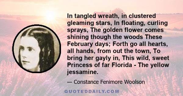 In tangled wreath, in clustered gleaming stars, In floating, curling sprays, The golden flower comes shining though the woods These February days; Forth go all hearts, all hands, from out the town, To bring her gayly