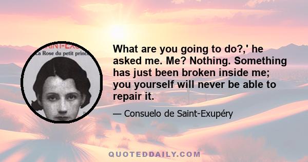 What are you going to do?,' he asked me. Me? Nothing. Something has just been broken inside me; you yourself will never be able to repair it.