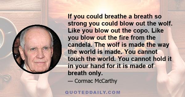 If you could breathe a breath so strong you could blow out the wolf. Like you blow out the copo. Like you blow out the fire from the candela. The wolf is made the way the world is made. You cannot touch the world. You