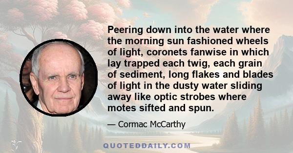 Peering down into the water where the morning sun fashioned wheels of light, coronets fanwise in which lay trapped each twig, each grain of sediment, long flakes and blades of light in the dusty water sliding away like