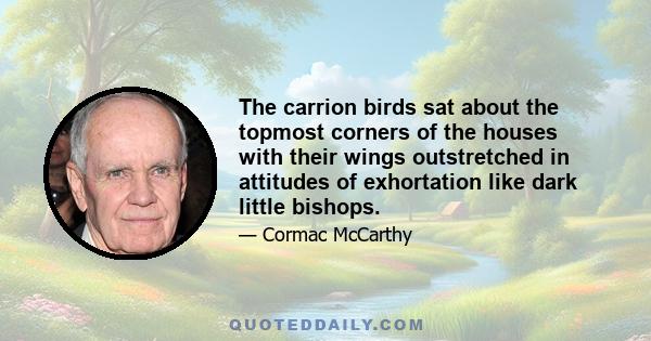 The carrion birds sat about the topmost corners of the houses with their wings outstretched in attitudes of exhortation like dark little bishops.