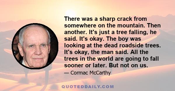 There was a sharp crack from somewhere on the mountain. Then another. It's just a tree falling, he said. It's okay. The boy was looking at the dead roadside trees. It's okay, the man said. All the trees in the world are 