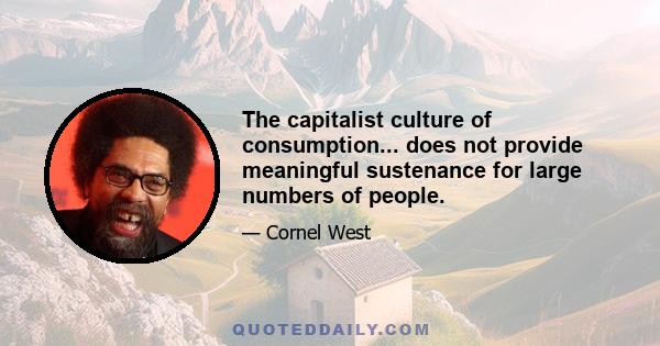 The capitalist culture of consumption... does not provide meaningful sustenance for large numbers of people.