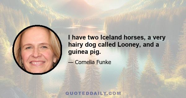 I have two Iceland horses, a very hairy dog called Looney, and a guinea pig.