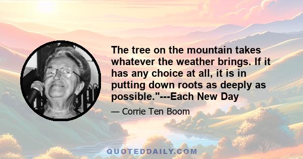 The tree on the mountain takes whatever the weather brings. If it has any choice at all, it is in putting down roots as deeply as possible.---Each New Day