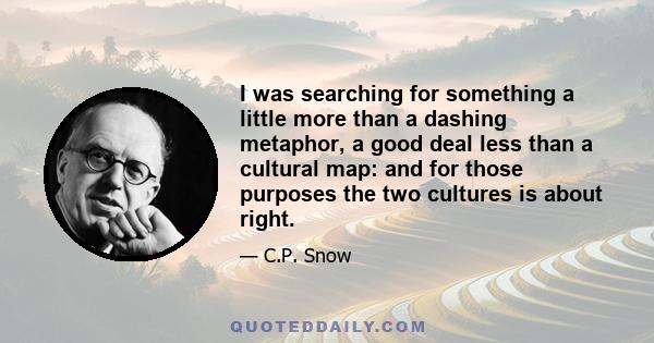 I was searching for something a little more than a dashing metaphor, a good deal less than a cultural map: and for those purposes the two cultures is about right.