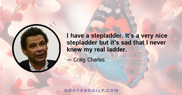 I have a stepladder. It's a very nice stepladder but it's sad that I never knew my real ladder.