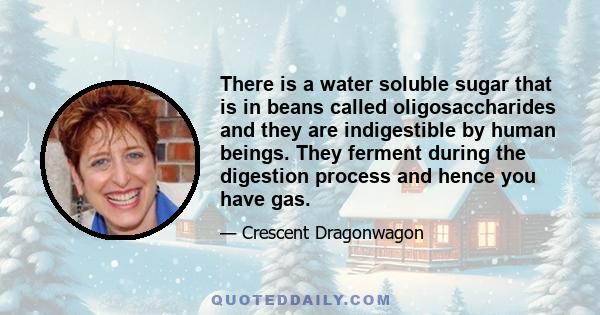 There is a water soluble sugar that is in beans called oligosaccharides and they are indigestible by human beings. They ferment during the digestion process and hence you have gas.