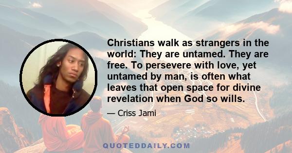 Christians walk as strangers in the world: They are untamed. They are free. To persevere with love, yet untamed by man, is often what leaves that open space for divine revelation when God so wills.