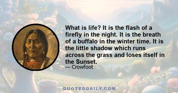 What is life? It is the flash of a firefly in the night. It is the breath of a buffalo in the winter time. It is the little shadow which runs across the grass and loses itself in the Sunset.