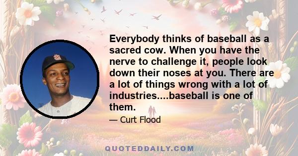 Everybody thinks of baseball as a sacred cow. When you have the nerve to challenge it, people look down their noses at you. There are a lot of things wrong with a lot of industries....baseball is one of them.