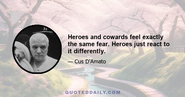 Heroes and cowards feel exactly the same fear. Heroes just react to it differently.