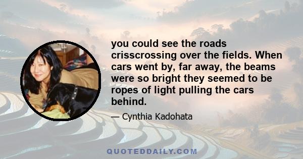 you could see the roads crisscrossing over the fields. When cars went by, far away, the beams were so bright they seemed to be ropes of light pulling the cars behind.