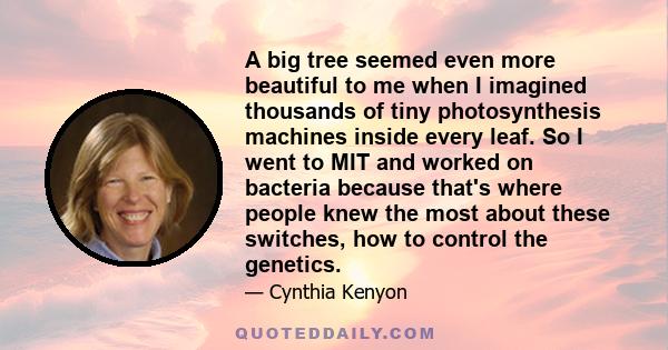 A big tree seemed even more beautiful to me when I imagined thousands of tiny photosynthesis machines inside every leaf. So I went to MIT and worked on bacteria because that's where people knew the most about these