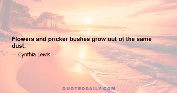 Flowers and pricker bushes grow out of the same dust.